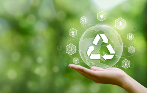 Sustainability Victoria: Single-Use Plastic Ban Business Engagement