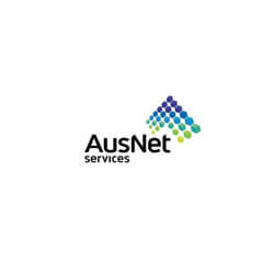 AusNet Case Study