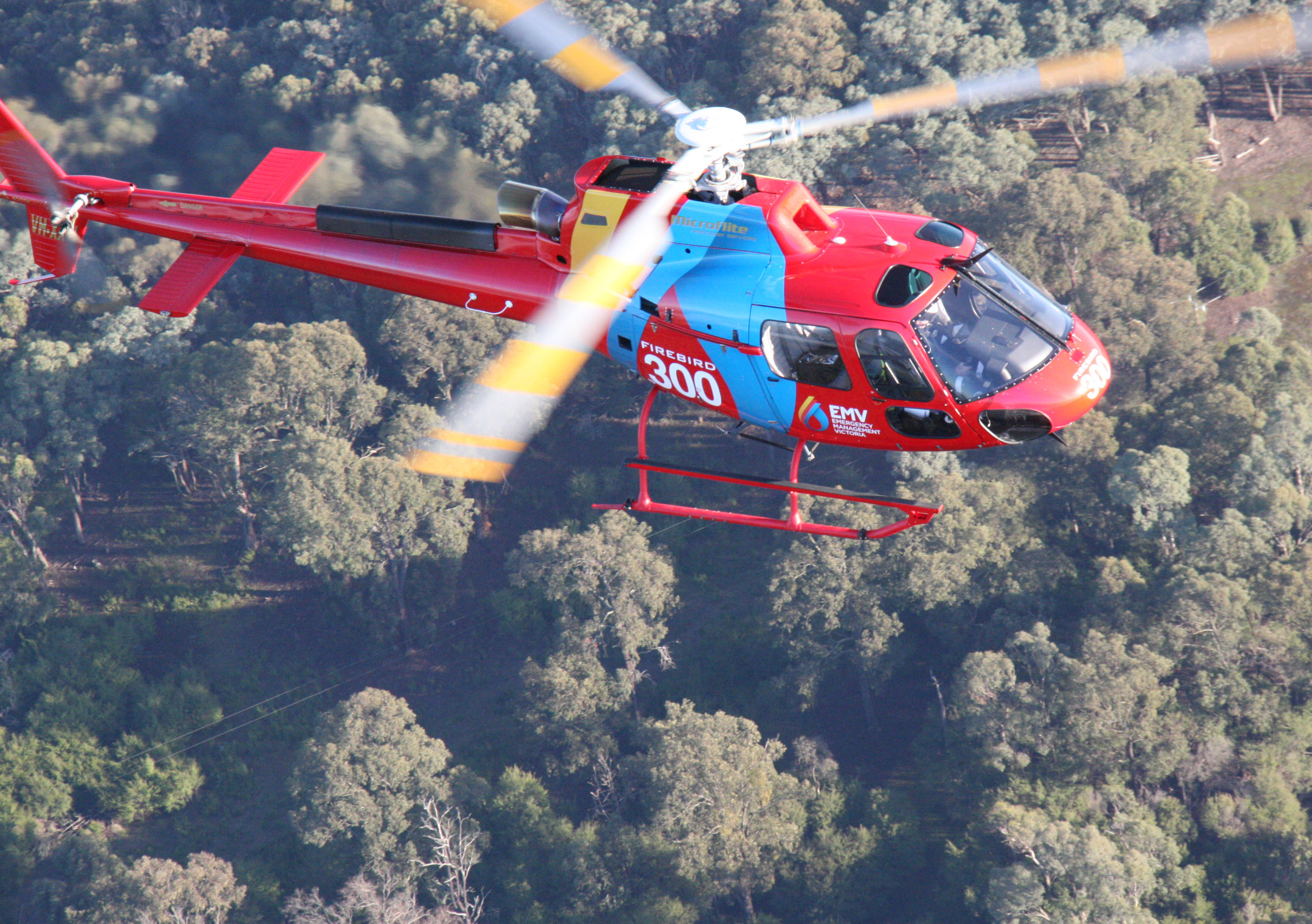 Vic Emergency App and Website Translation