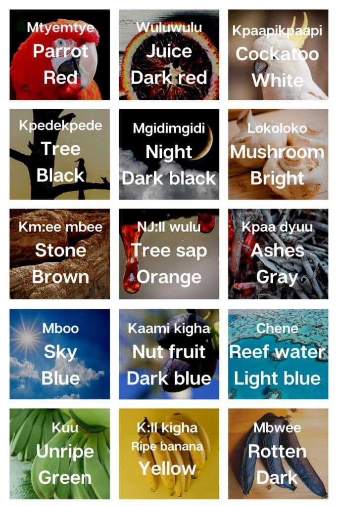Colors